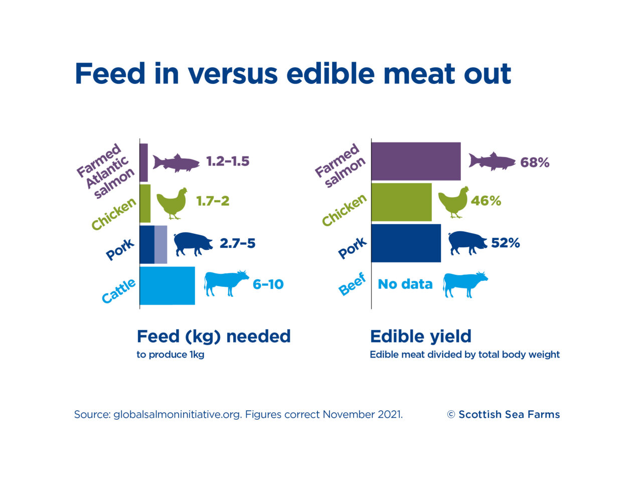 Sustainable feed in Salmon farming | Scottish Sea Farms