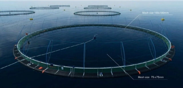 fish-holm-salmon-farm-consolidation-plans-scottish-sea-farms